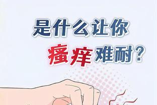 开云官网app入口下载截图3